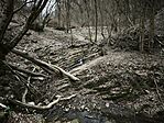 IMG_20260320_144404