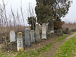 IMG_20251221_120008