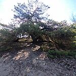 IMG_20260321_133251