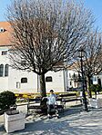 IMG_6126