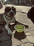 IMG_6139