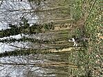 IMG_6159