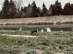 IMG_6188
