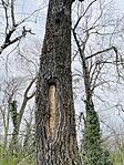 IMG_6196