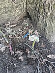 IMG_20260307_151226605