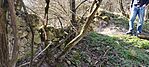 IMG_20260314_150454986