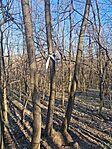 20260307_143421[1]