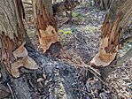 IMG_20260308_112517