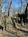 IMG_7275