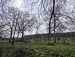 IMG_20260322_111024