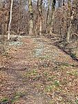 IMG_20260301_104449