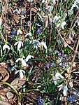 IMG_20260301_104619