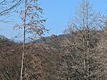 PXL_20260314_125746740