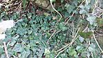 20260312_145227-OK