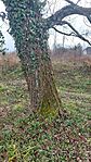 20260312_145721-OK