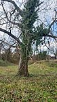 20260312_150101-OK