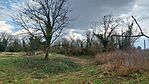 20260312_150414-OK