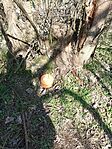 IMG_20260314_112556