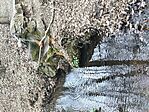 IMG_20260324_164245834_HDR