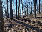 IMG_20260228_140657.jpg
