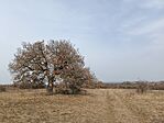 IMG_20260302_133823.jpg