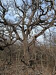 IMG_20260302_130722.jpg