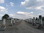 IMG_20260324_121322.jpg