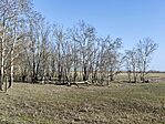 IMG_20260315_153015