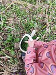 IMG_20260321_093019
