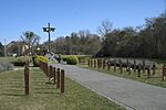 DSC02194