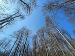 IMG_20260324_102257794