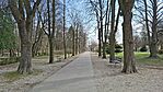 Erzsébet kert Sopron-9