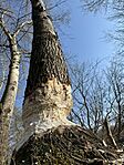 IMG_3058