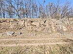 IMG_20260314_104322