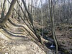 IMG_20260314_084454