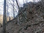 IMG_20260314_091858