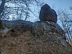 IMG_20260314_092206