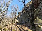 IMG_20260314_124326
