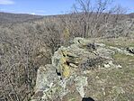 IMG_20260314_123611