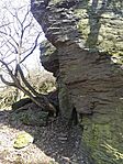 IMG_20260314_124805