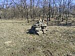 IMG_20260314_125255
