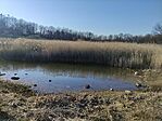 IMG_20260314_154448