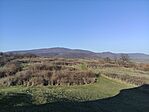 IMG_20260314_154943
