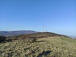 IMG_20260314_161650