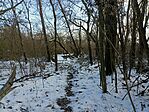 IMG_20260117_132725_771