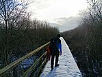 IMG_20260117_132852_007