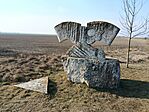 IMG_20260301_145048