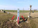 IMG_20260301_145133