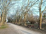 IMG_20260301_161127