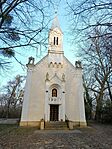 IMG_20260301_161304
